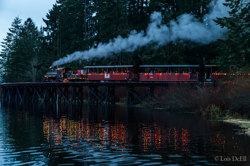 Lois DeEllChristmas Train 