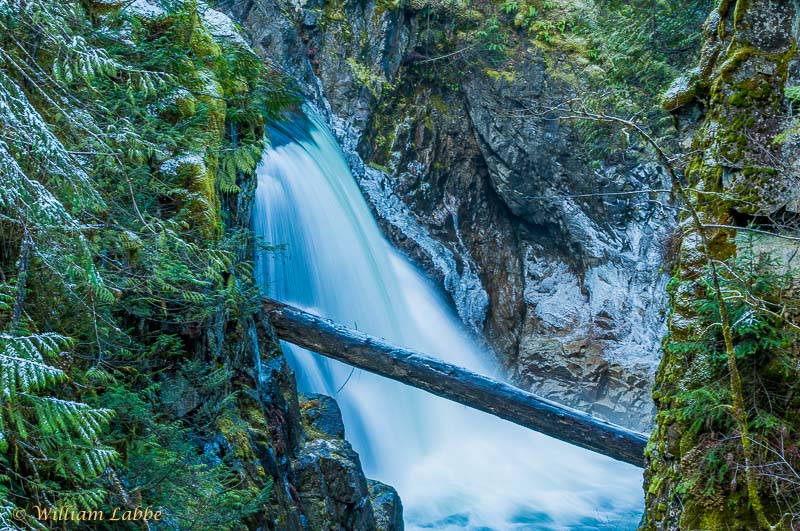 William LabbéLittle Qualicum Falls