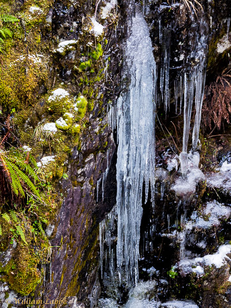 William LabbéIcicles at the Falls