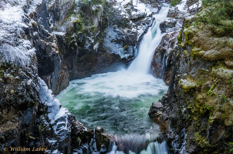 William LabbéSlippery slope to the Little Qualicum Falls
