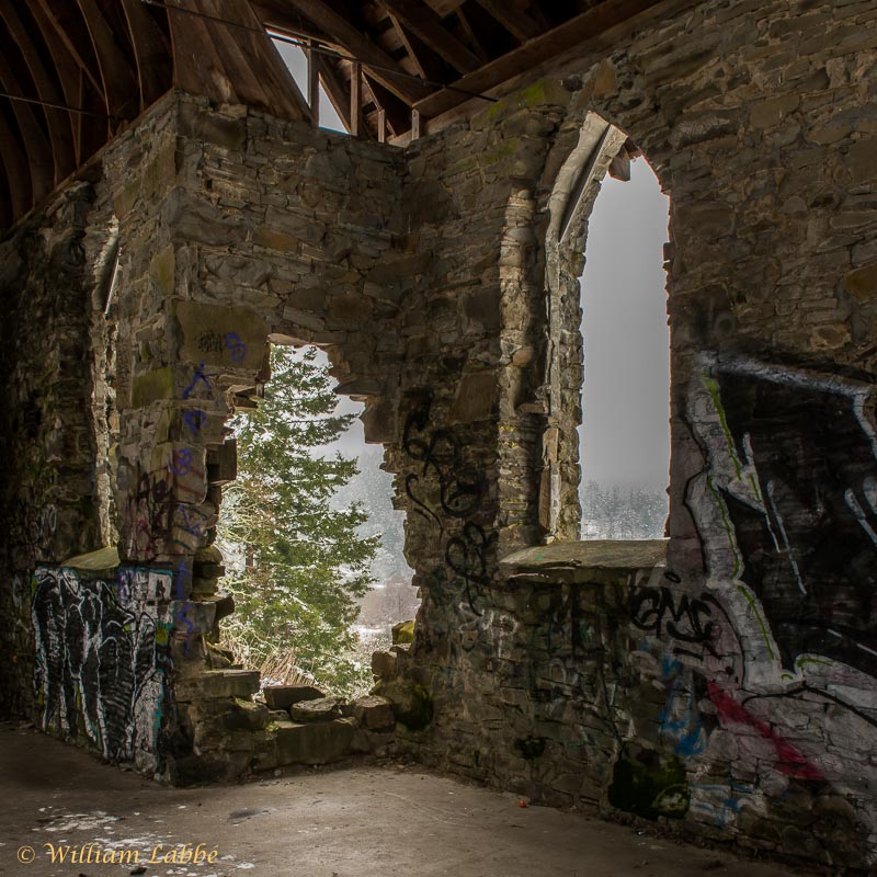 William LabbéCrumbling Walls