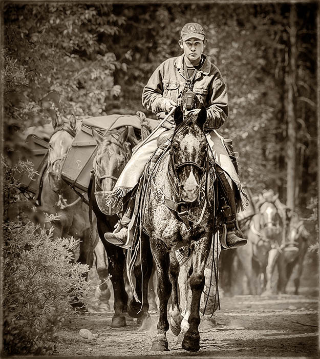 Tony PaineYoung Wrangler -  North Shore Photographic Challenge 2017- Points: 18