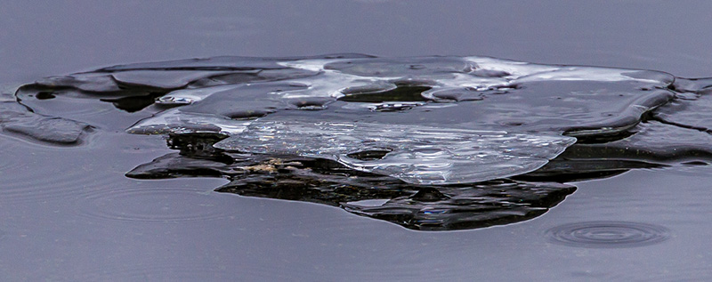 Lois DeEllThe Transparency of Ice - North Shore Photographic Challenge 2017- Points: 20