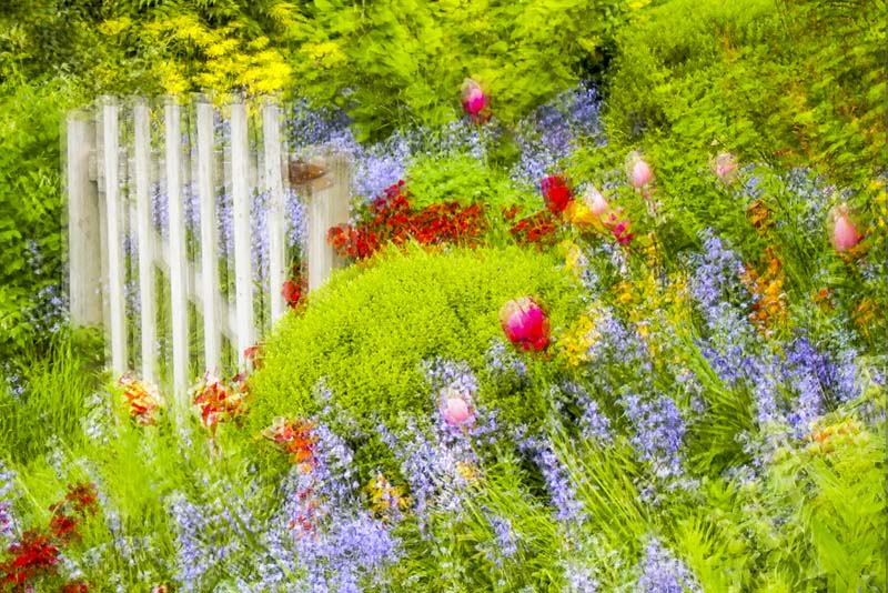 Rosemary RatcliffeGate to Monets GardenCAPA Altered Reality Competition 2017