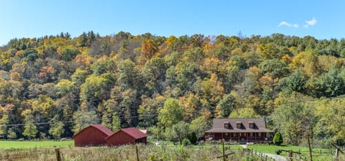Fall Colors 2015