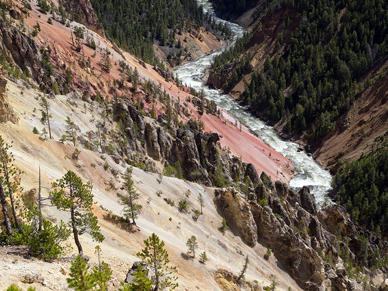 B009737.jpg