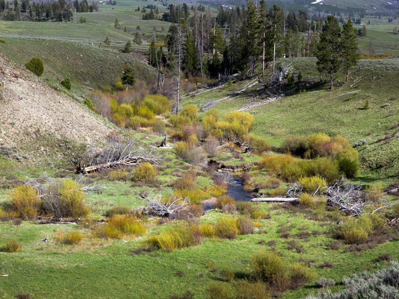 B009816.jpg