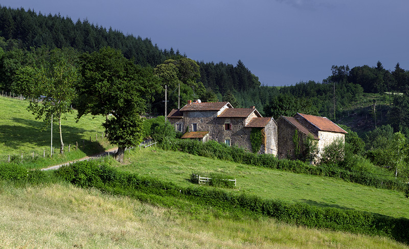 B010783.jpg