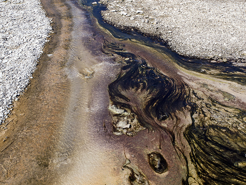 B009875.jpg