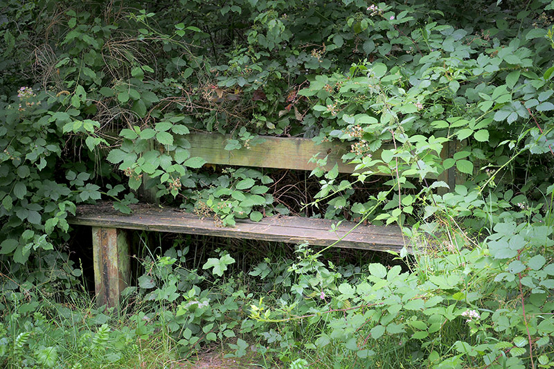 B014760.jpg