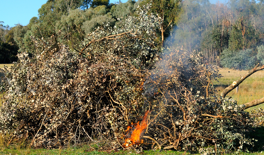 Beginning of the bonfire.