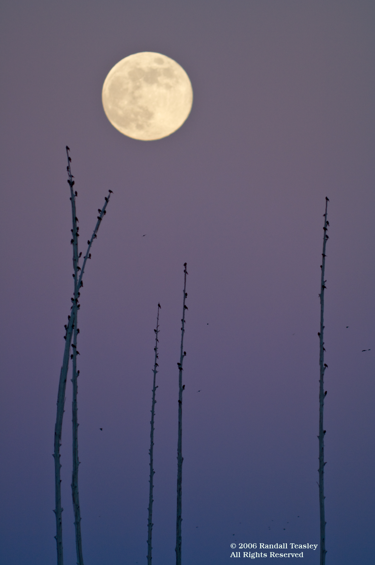 Moonrise-2006-12-04