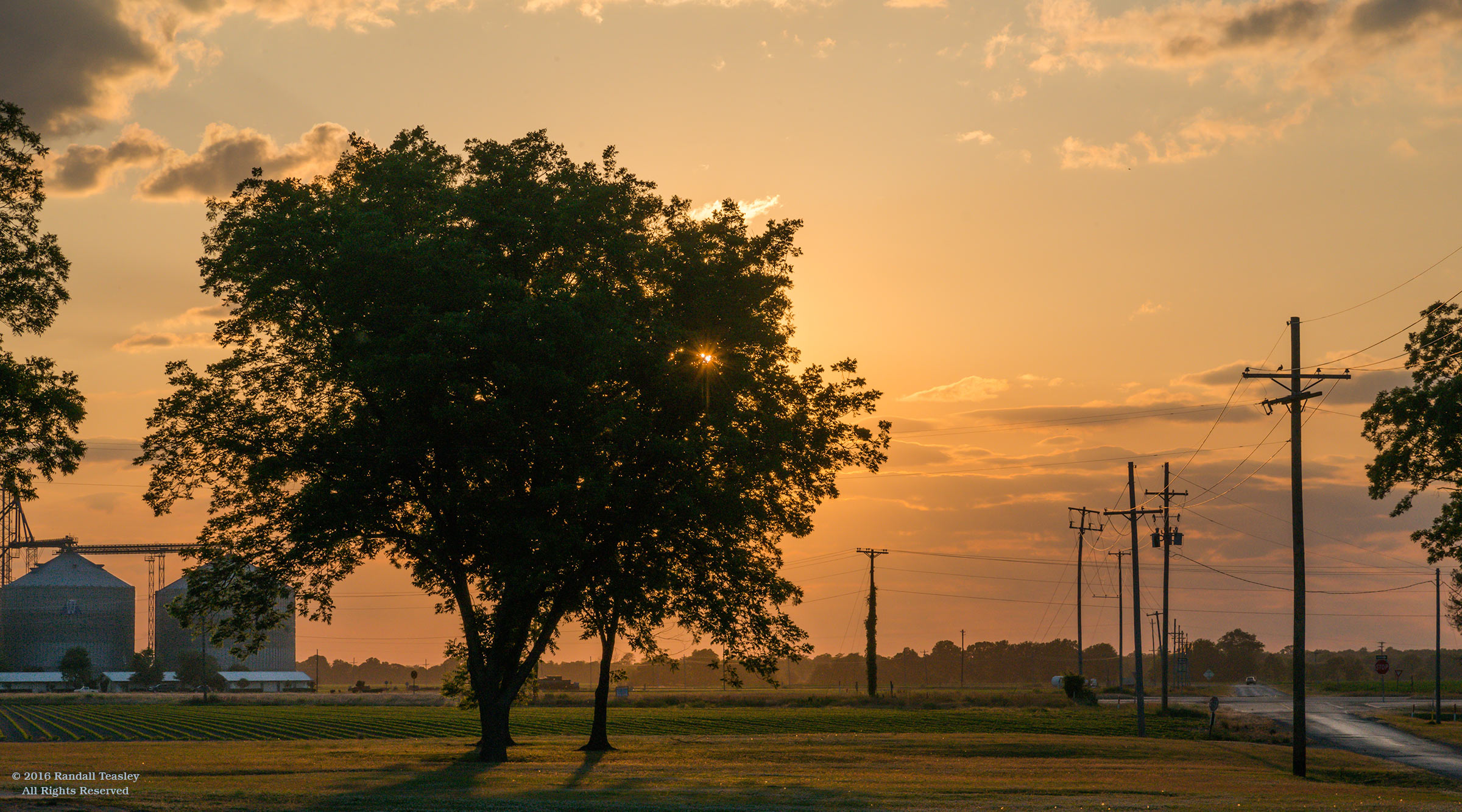 Heathman-Plantation-Sunset