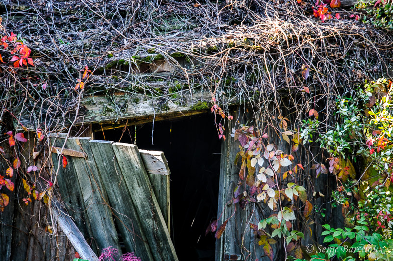 SB_S6D0830