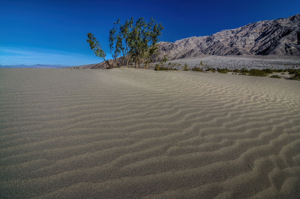 Death Valley sand dunes