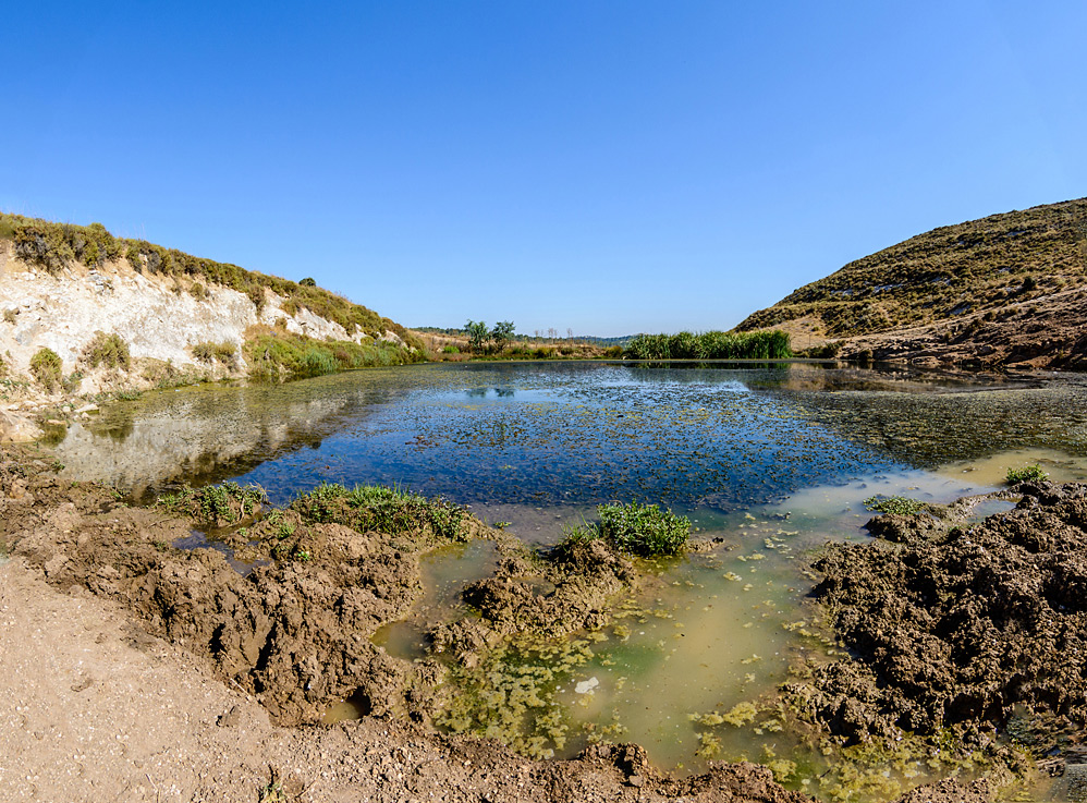 The pond. Panorama.