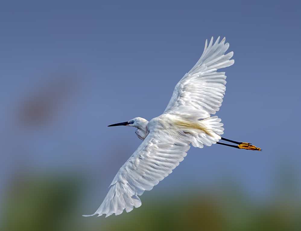 Blowing in the wind