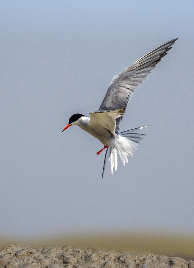 Prepare for landing