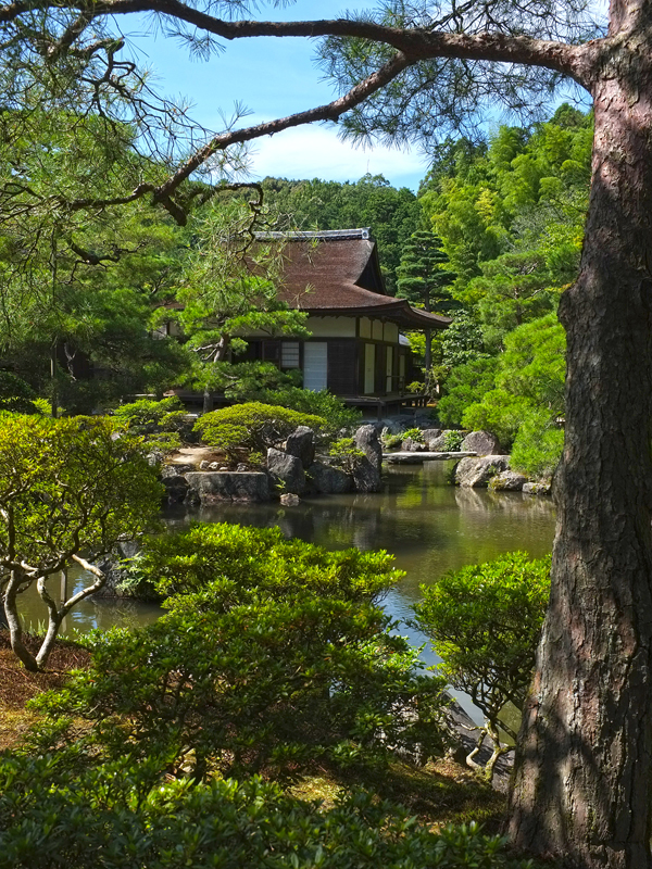 017 Ginkaku Ji
