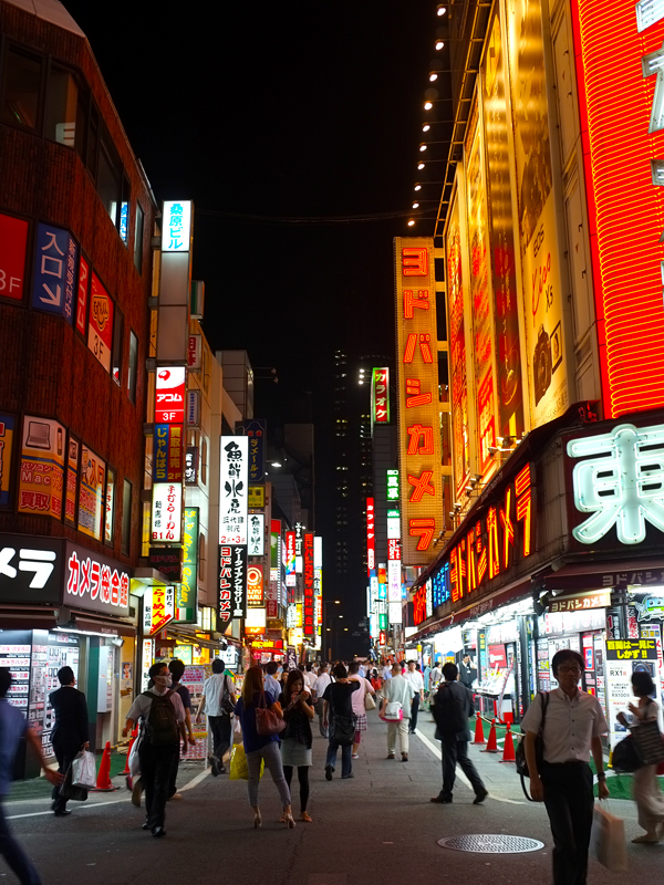 074 Shinjuku Neon Skyline