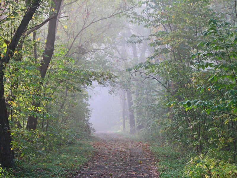 A break in the trees