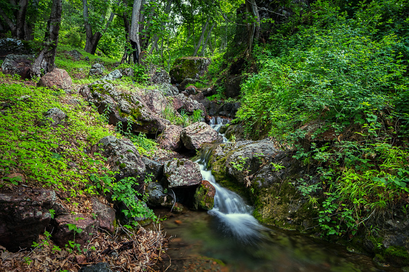 Forest stream - Varzob