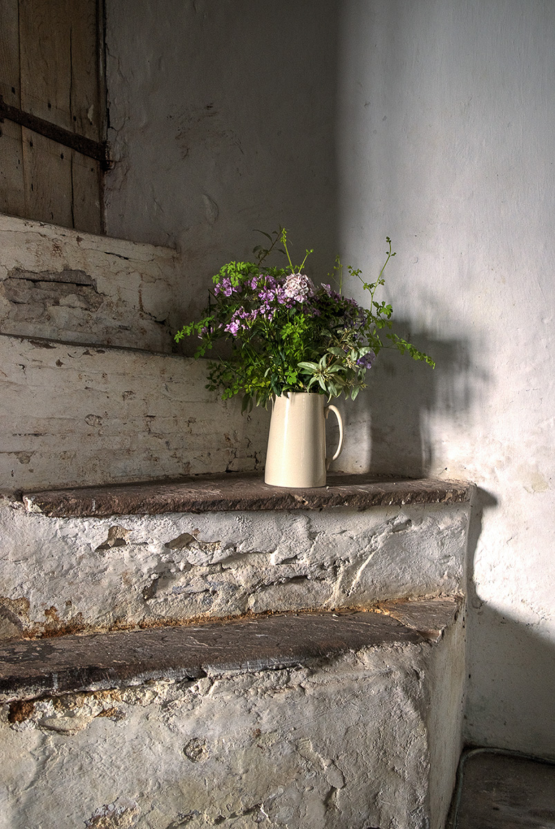 Flowers on steps