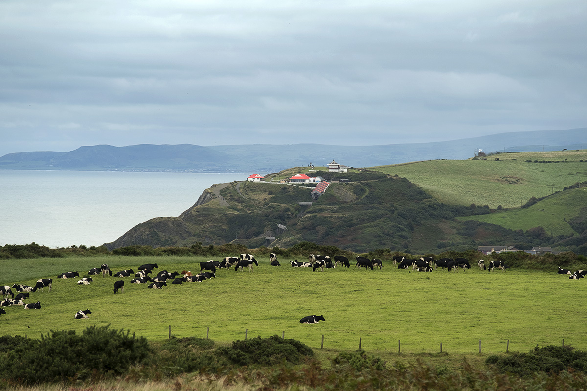 Constitution Hill from Pen Dinas