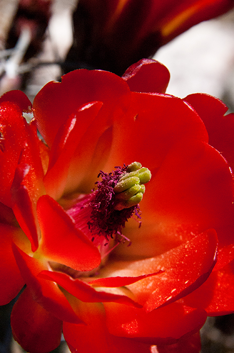 o9/55/864355/1/156299054.jOdRyMng.AmyWhiteSnds1041.jpg