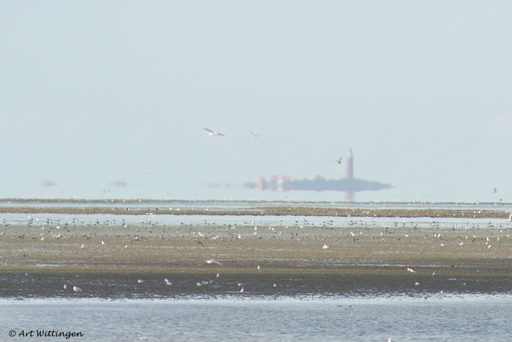 View on Texel