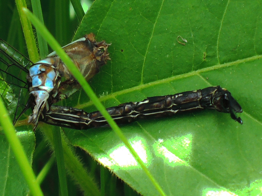 RSCN2616.JPG
