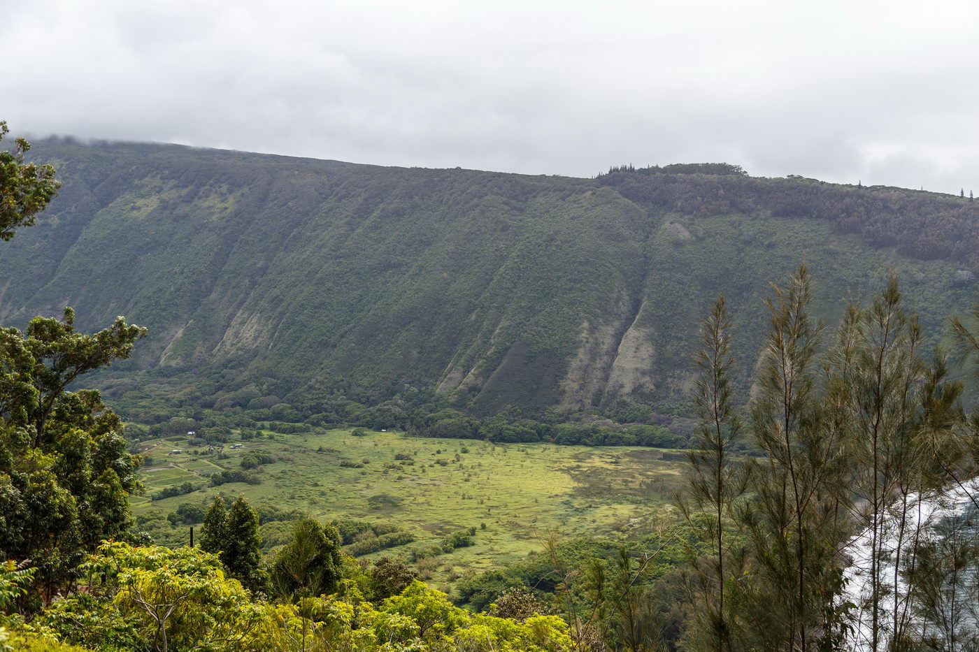 Waipio Valley