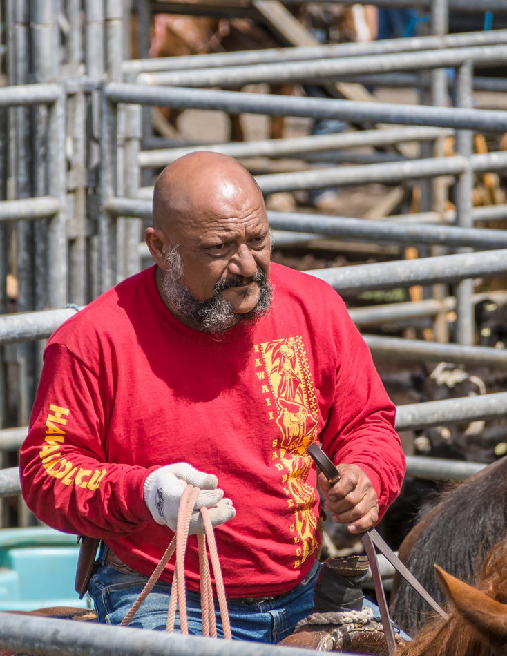 Rodeo in Honokaa