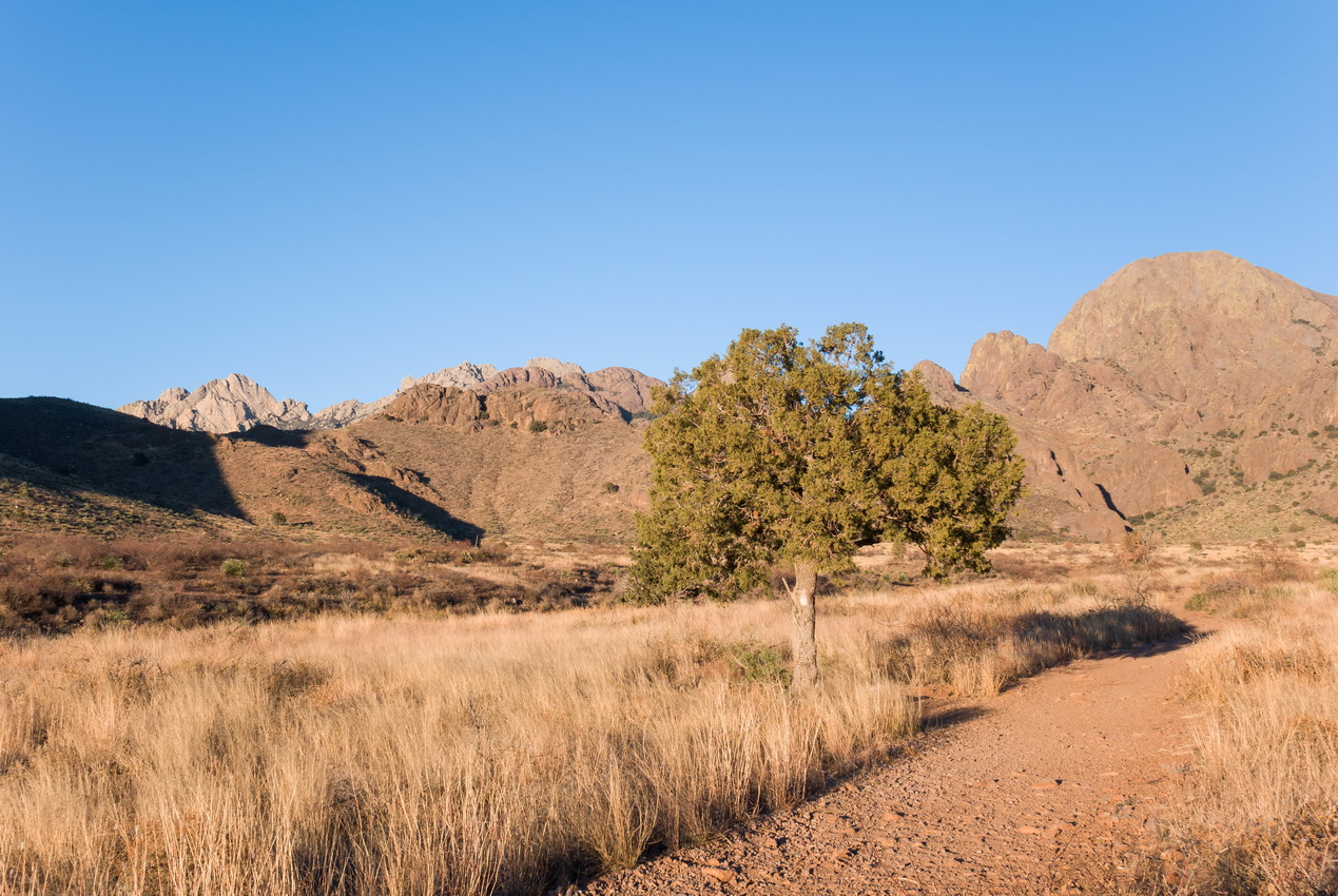 Organ Mountains, NM (2014)