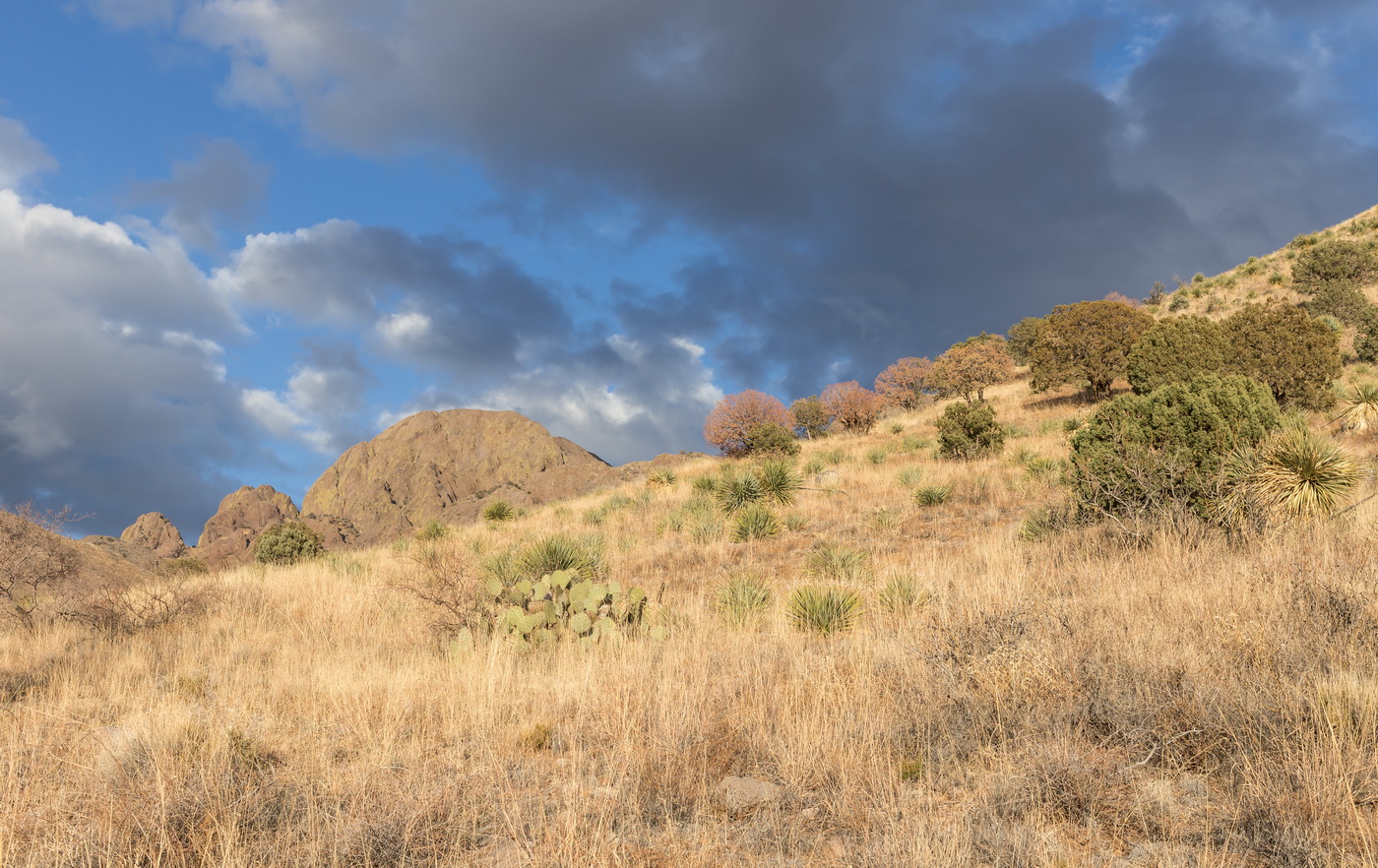 Soledad Canyon trail in Organ Mountains