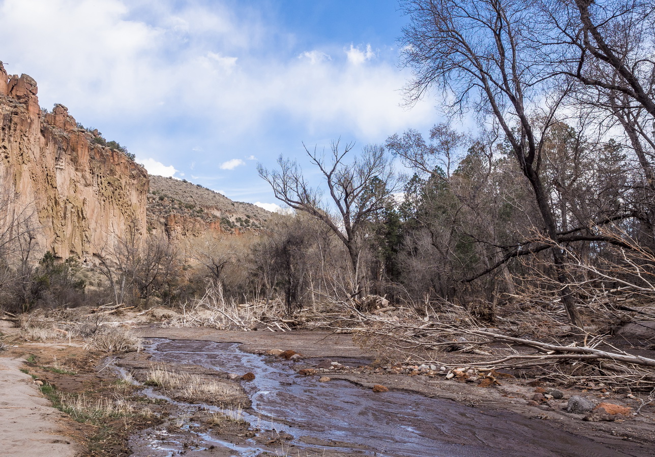 Severe flood along this harmless looking stream in August 2011 -- impact still obvious in March 2014