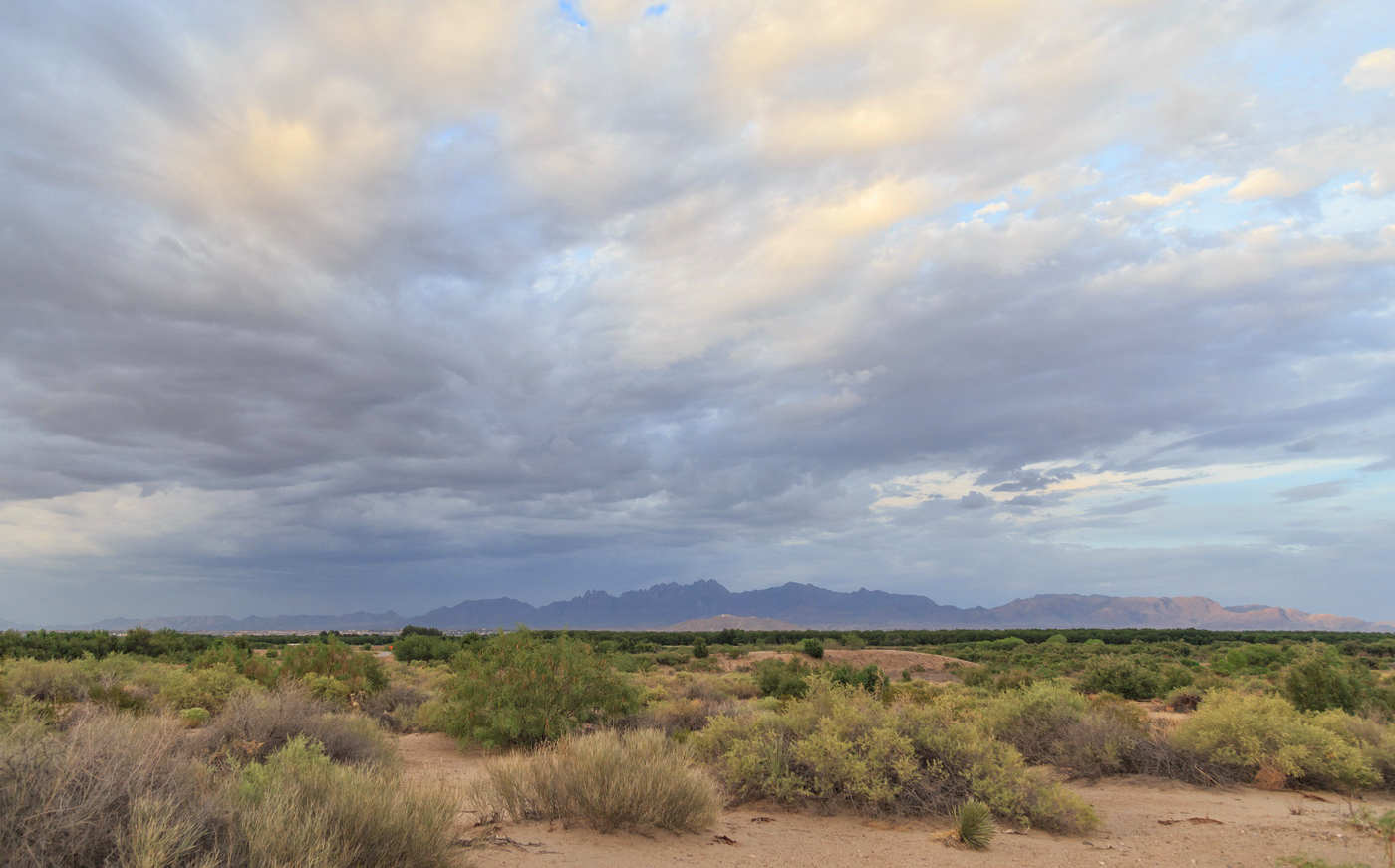 The 2014 summer monsoon season began in early July