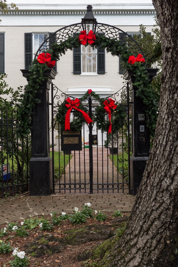 Garden District