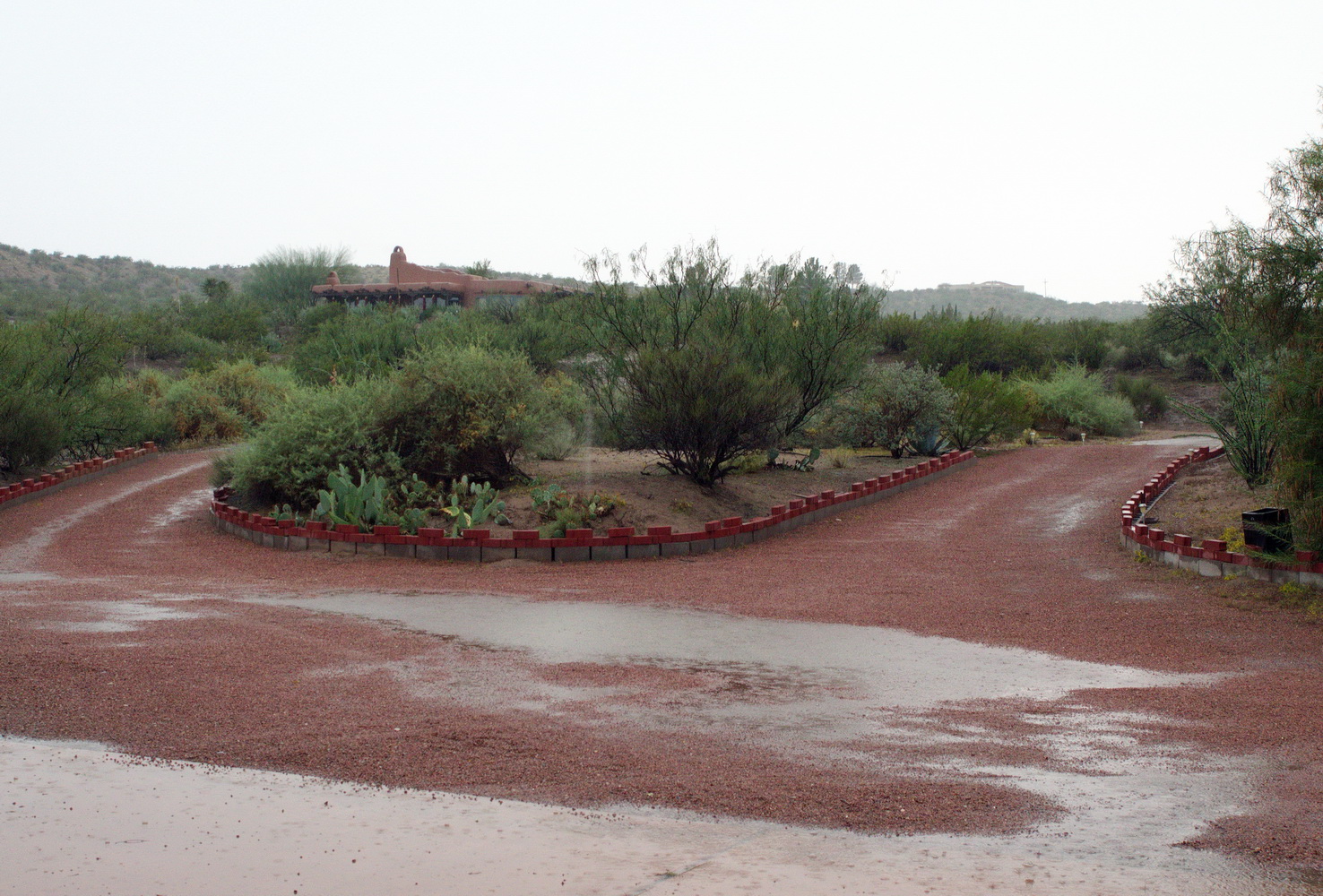 Our driveway