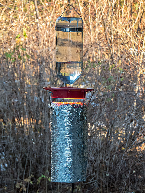 Hummingbird Feeder Heater