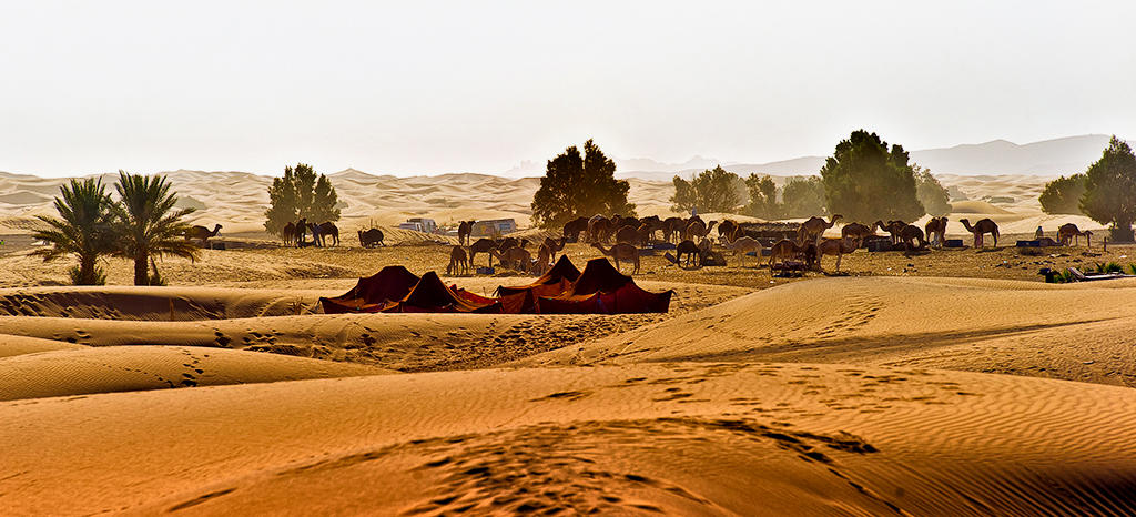 Erg Chebbi