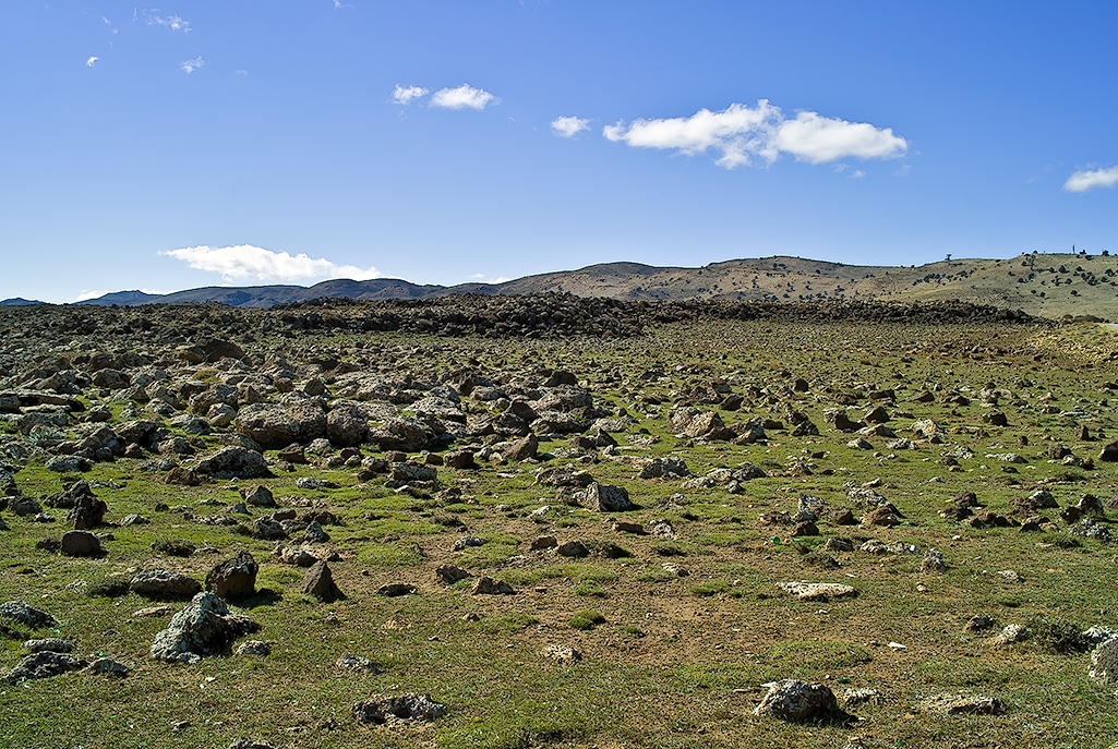 The Middle Atlas