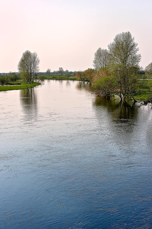 The Biebrza River