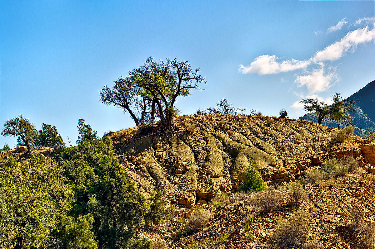 Middle Atlas Mountains