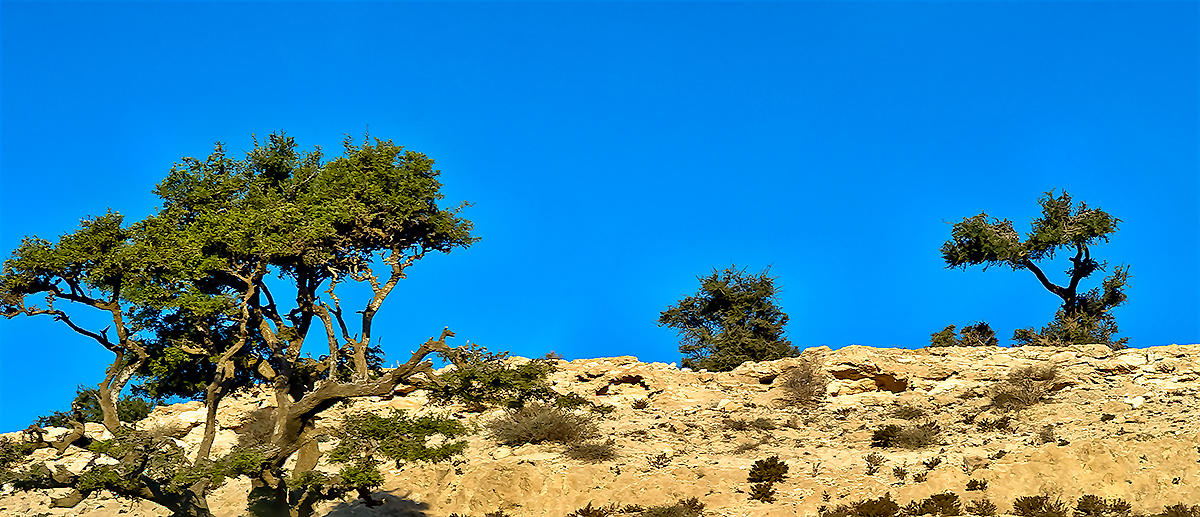 High Atlas Mountains