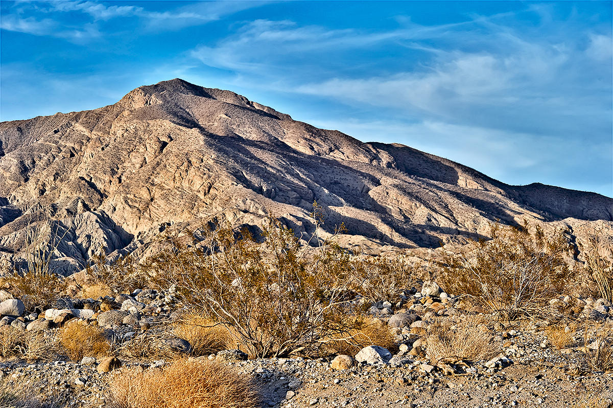 Anza Borrego Desert