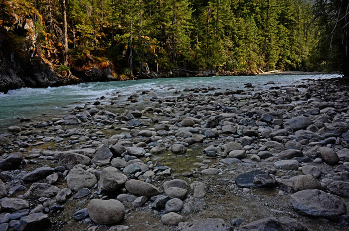 DSC_0218p.jpg