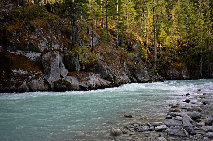 DSC_0235p.jpg