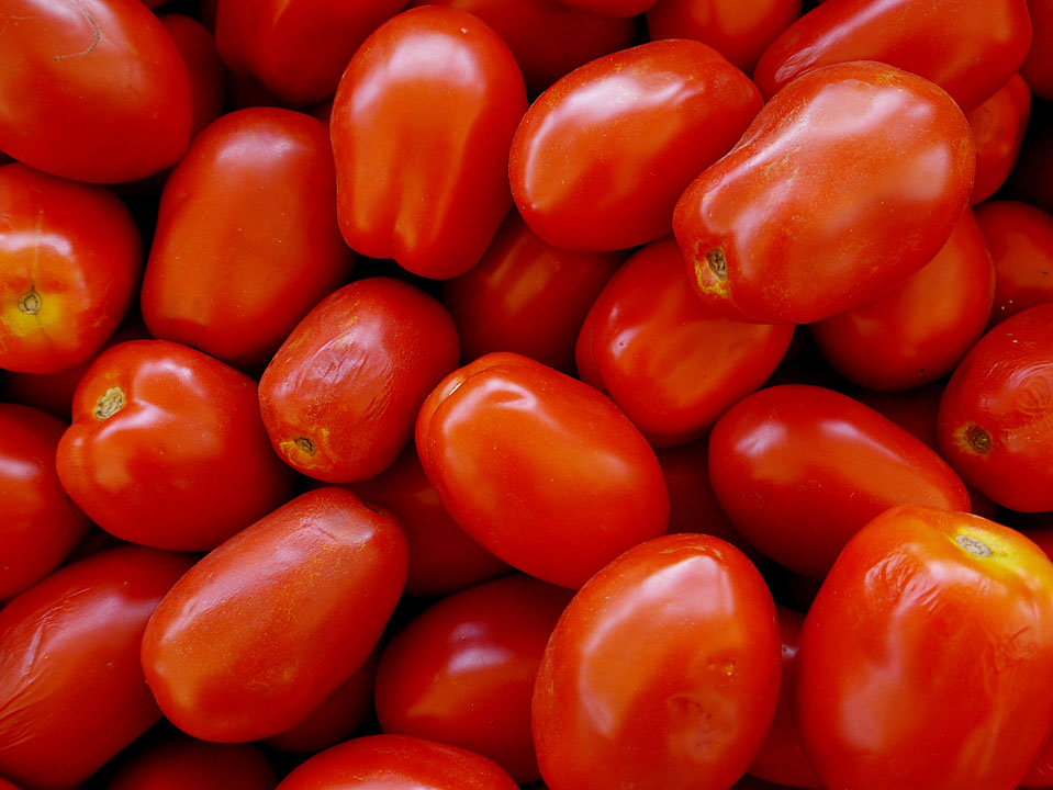 Plum Tomatoes.jpg