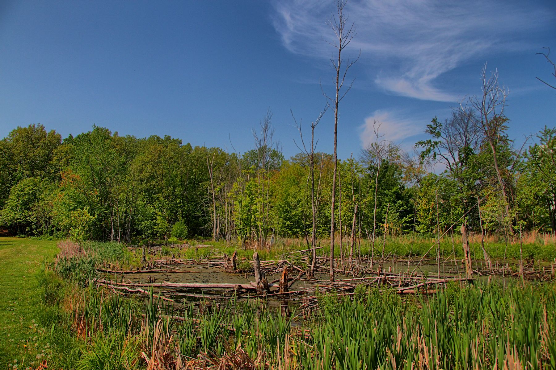 Crossings Park in HDR<BR>May 21, 2013